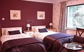 Palm Lodge Mitchelstown 4*